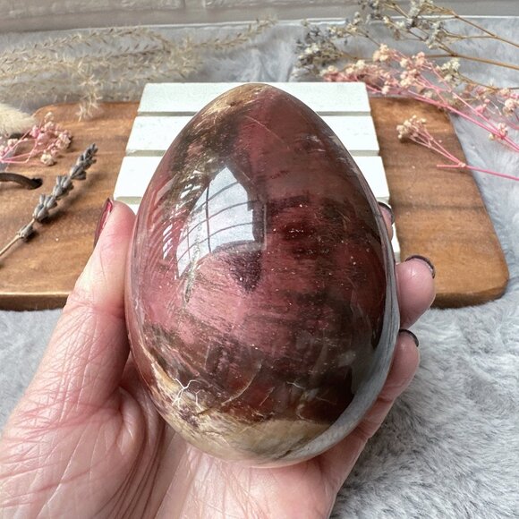 Gorgeous Large Petrified Wood Egg - Picture 4 of 9
